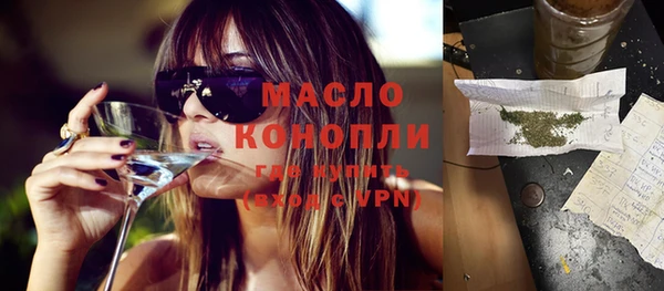 индика Тихвин