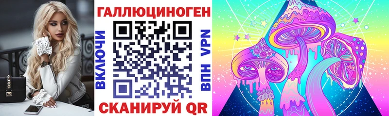 Купить где  Шатура  Галлюциногенные грибы Magic Shrooms 